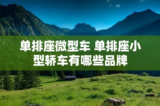 单排座微型车 单排座小型轿车有哪些品牌