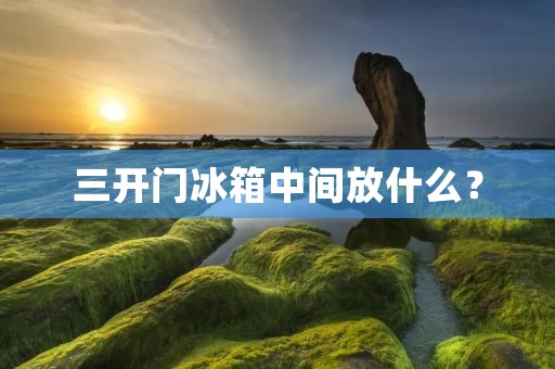 三开门冰箱中间放什么? 三开门冰箱中间放什么?