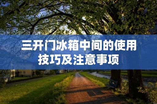 三开门冰箱中间的使用技巧及注意事项
