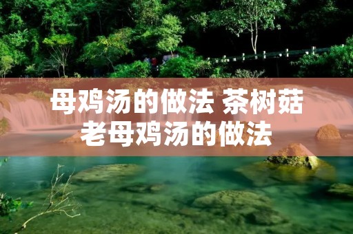 母鸡汤的做法 茶树菇老母鸡汤的做法