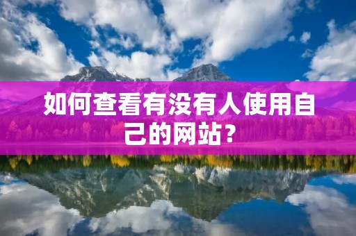 如何查看有没有人使用自己的网站？