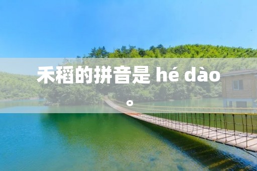 禾稻的拼音是 hé dào。