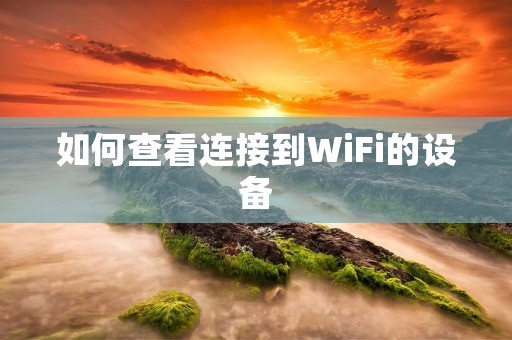 如何查看连接到WiFi的设备