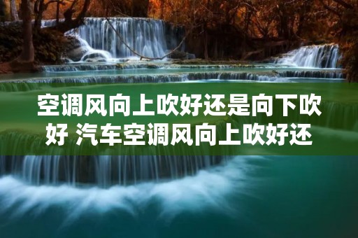 空调风向上吹好还是向下吹好 汽车空调风向上吹好还是向下吹好