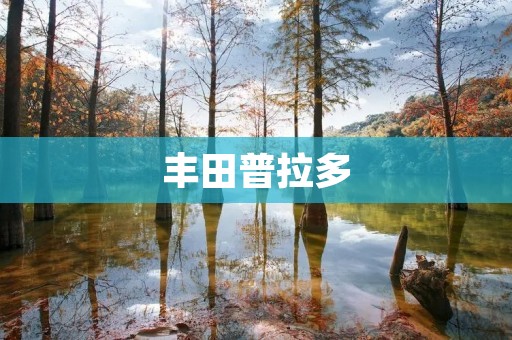 丰田普拉多:豪华越野王者 丰田普拉多:豪华越野王者