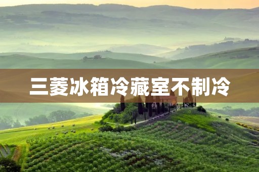三菱冰箱冷藏室不制冷:原因与解决方法 三菱冰箱冷藏室不制冷:原因与解决方法