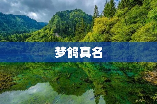 梦鸽真名:一位富有想象力的年轻艺术家