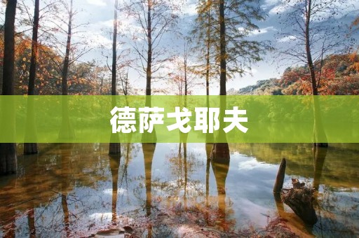 德萨戈耶夫：一个伟大的俄罗斯文学家