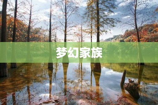 梦幻家族:一场奇幻之旅