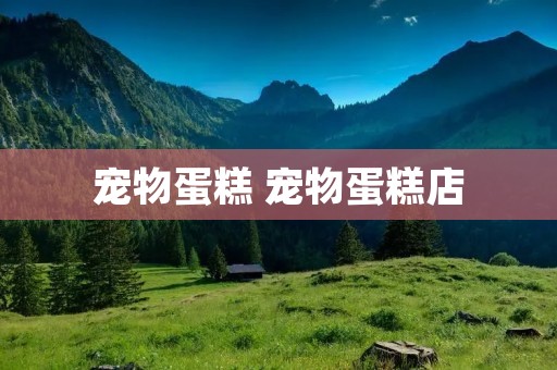 宠物蛋糕 宠物蛋糕店