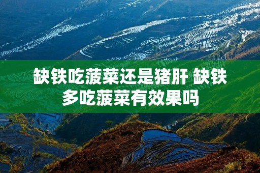 缺铁吃菠菜还是猪肝 缺铁多吃菠菜有效果吗