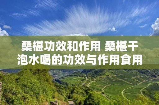 桑椹功效和作用 桑椹干泡水喝的功效与作用食用方法及禁忌桑椹怎么吃 桑椹功效和作用 桑椹干泡水喝的功效与作用食用方法及禁忌桑椹怎么吃
