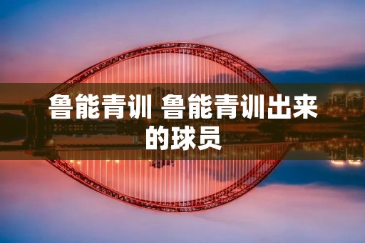 鲁能青训 鲁能青训出来的球员