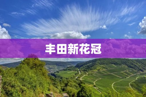 丰田新花冠：以技术创新引领时代潮流