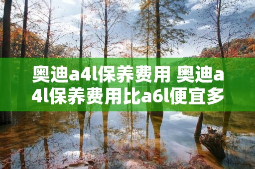 奥迪a4l保养费用 奥迪a4l保养费用比a6l便宜多了 奥迪a4l保养费用 奥迪a4l保养费用比a6l便宜多了