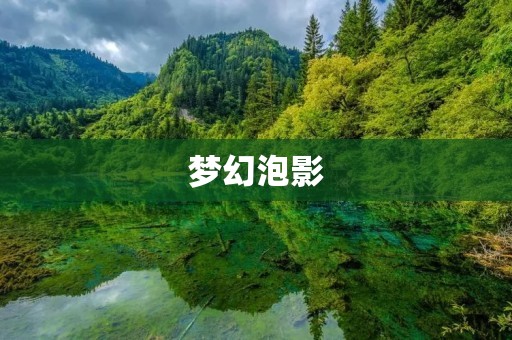 梦幻泡影:探寻幻想与现实的交融之美
