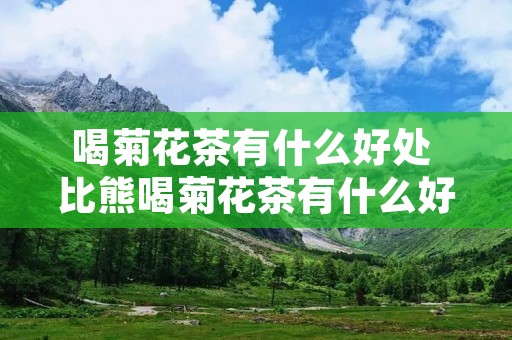 喝菊花茶有什么好处 比熊喝菊花茶有什么好处