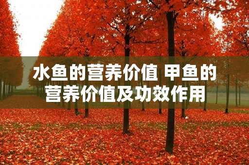 水鱼的营养价值 甲鱼的营养价值及功效作用