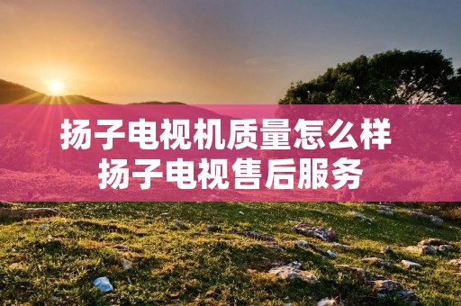 扬子电视机质量怎么样 扬子电视售后服务 扬子电视机质量怎么样 扬子电视售后服务