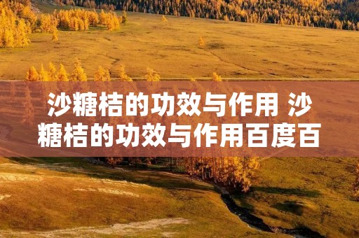 沙糖桔的功效与作用 沙糖桔的功效与作用百度百科