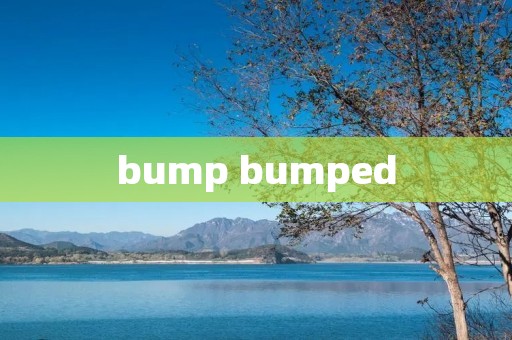 bump bumped bump bumped
