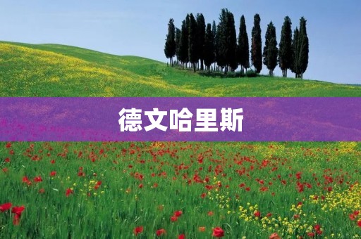 德文哈里斯:创新和领导力的典范 德文哈里斯:创新和领导力的典范