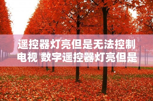 遥控器灯亮但是无法控制电视 数字遥控器灯亮但是无法控制电视 遥控器灯亮但是无法控制电视 数字遥控器灯亮但是无法控制电视
