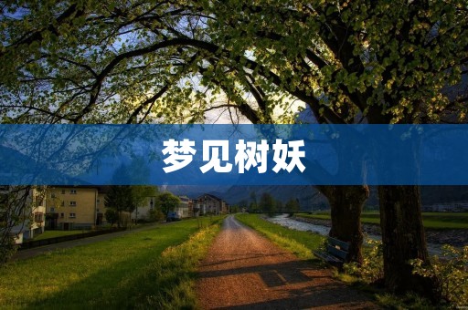 梦见树妖:一场奇幻之旅