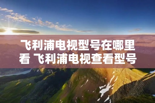 飞利浦电视型号在哪里看 飞利浦电视查看型号