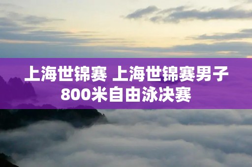 上海世锦赛 上海世锦赛男子800米自由泳决赛