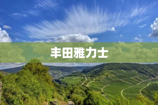 丰田雅力士:突破创新,引领汽车行业发展 丰田雅力士:突破创新,引领汽车行业发展