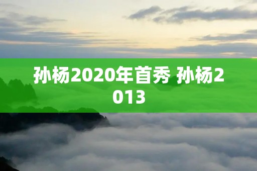 孙杨2020年首秀 孙杨2013 孙杨2020年首秀 孙杨2013