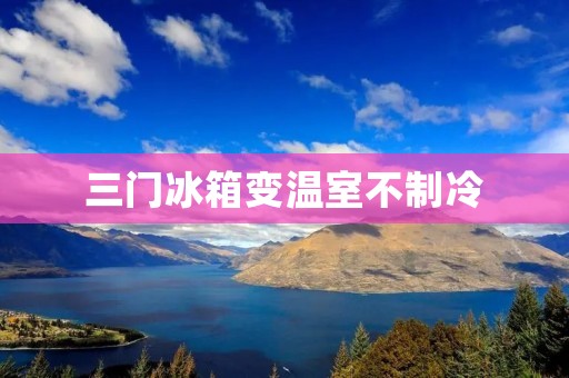 三门冰箱变温室不制冷：问题解析与解决方案