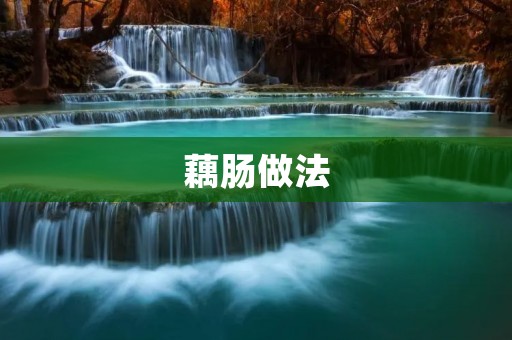 藕肠做法：香鲜可口的家常美食
