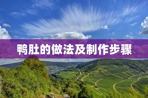 鸭肚的做法及制作步骤 鸭肚的做法及制作步骤