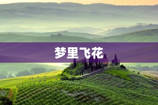 梦里飞花:一场奇幻之旅的详细描述