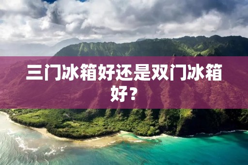 三门冰箱好还是双门冰箱好？