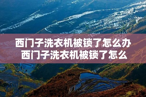 西门子洗衣机被锁了怎么办 西门子洗衣机被锁了怎么办视频