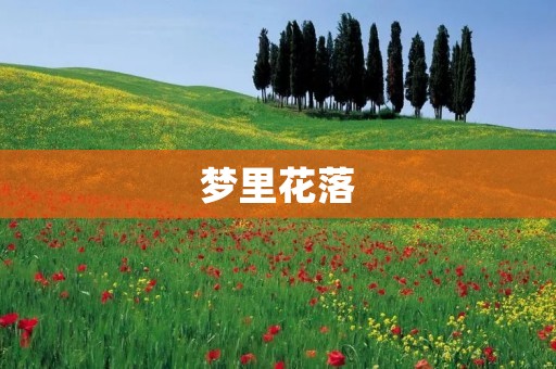梦里花落:一场逝去与重生的奇幻之旅