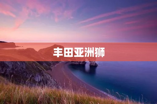 丰田亚洲狮:亚洲市场的领先者 丰田亚洲狮:亚洲市场的领先者