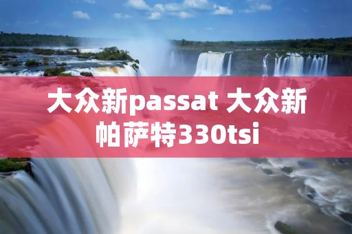 大众新passat 大众新帕萨特330tsi