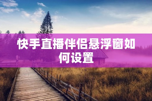 快手直播伴侣悬浮窗如何设置