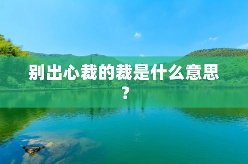 别出心裁的裁是什么意思？