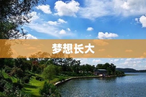 梦想长大:追逐心中的理想与希望