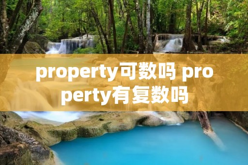 property可数吗 property有复数吗