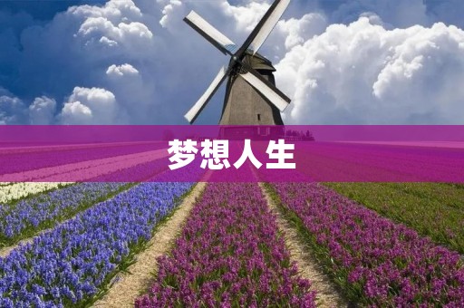 梦想人生:追逐内心的火焰