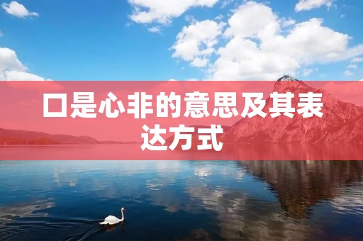 口是心非的意思及其表达方式
