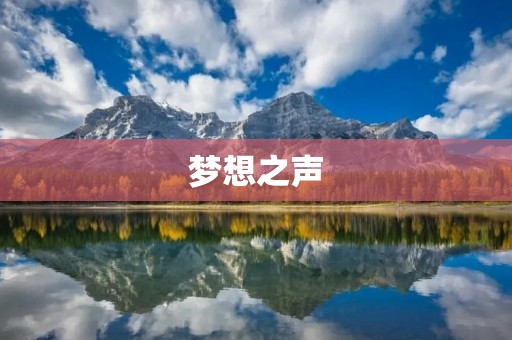 梦想之声:让音乐梦想翱翔天际