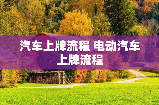 汽车上牌流程 电动汽车上牌流程 汽车上牌流程 电动汽车上牌流程