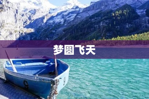 梦圆飞天:追逐梦想的奇妙旅程